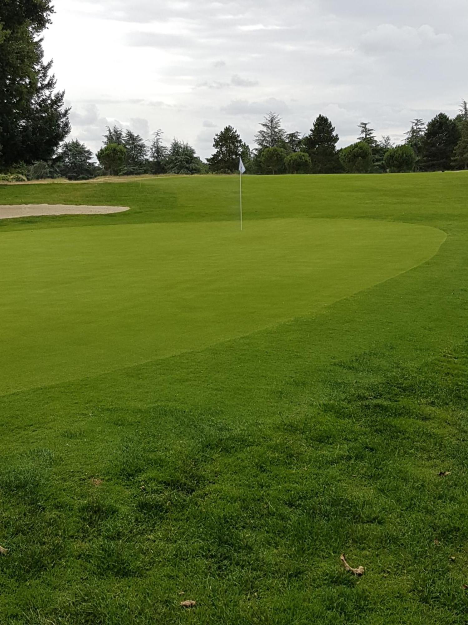 T2 Face Au Golf