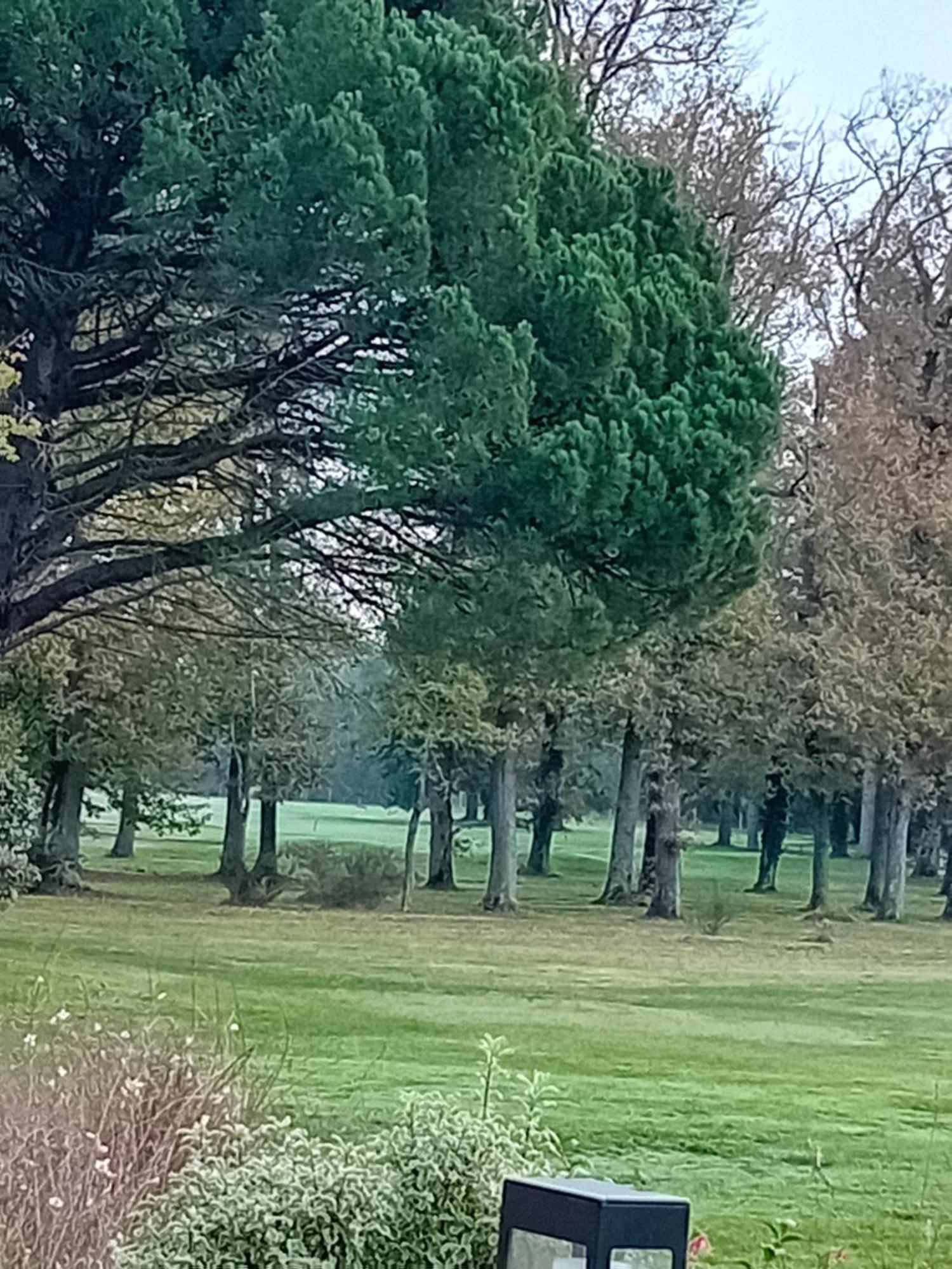 Appartamento T2 Face Au Golf