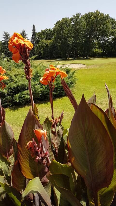 T2 Face Au Golf Apartment